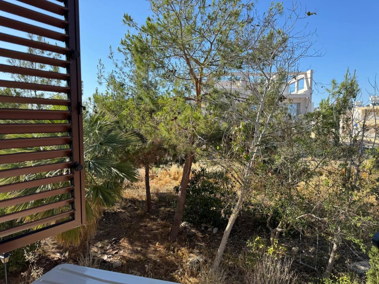 Eden Gardens Villa Paphos Eksteriør bilde