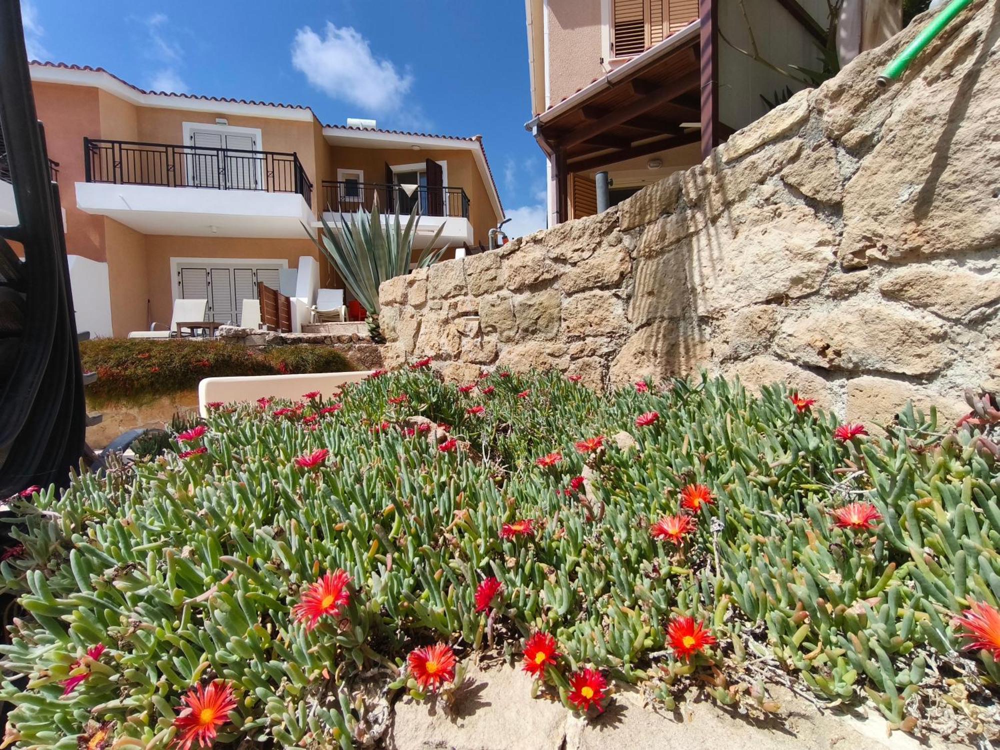 Eden Gardens Villa Paphos Eksteriør bilde